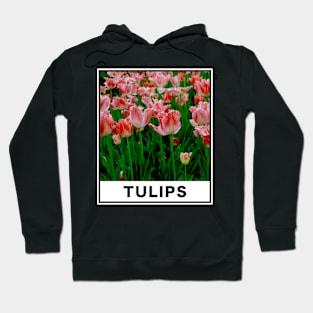 The Beauty of Pink Tulip Flower in The Garden Photography Hoodie